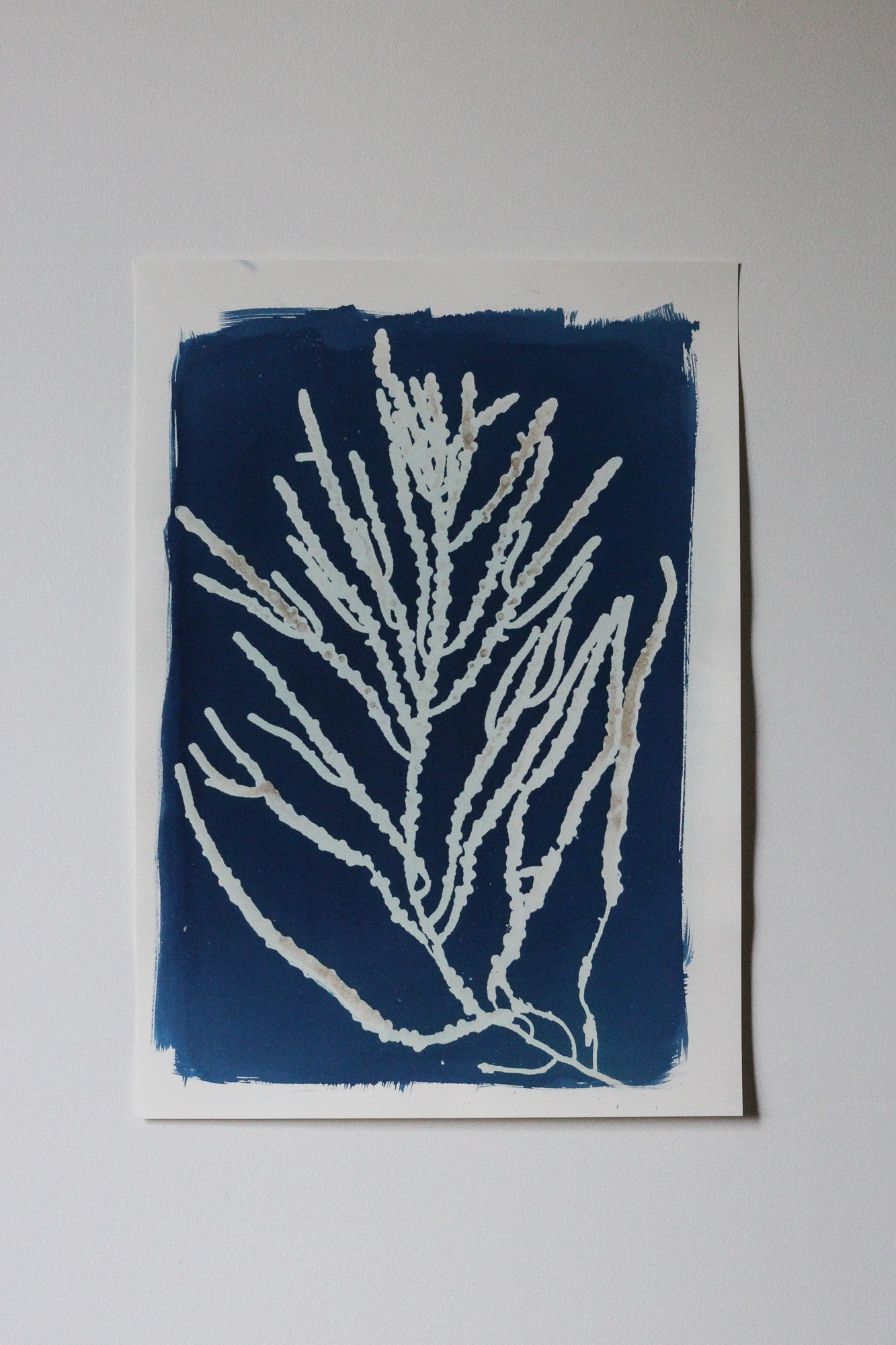 A square art print featuring a white seaweed design on a deep blue background, mounted on a white sheet against a light gray wall.