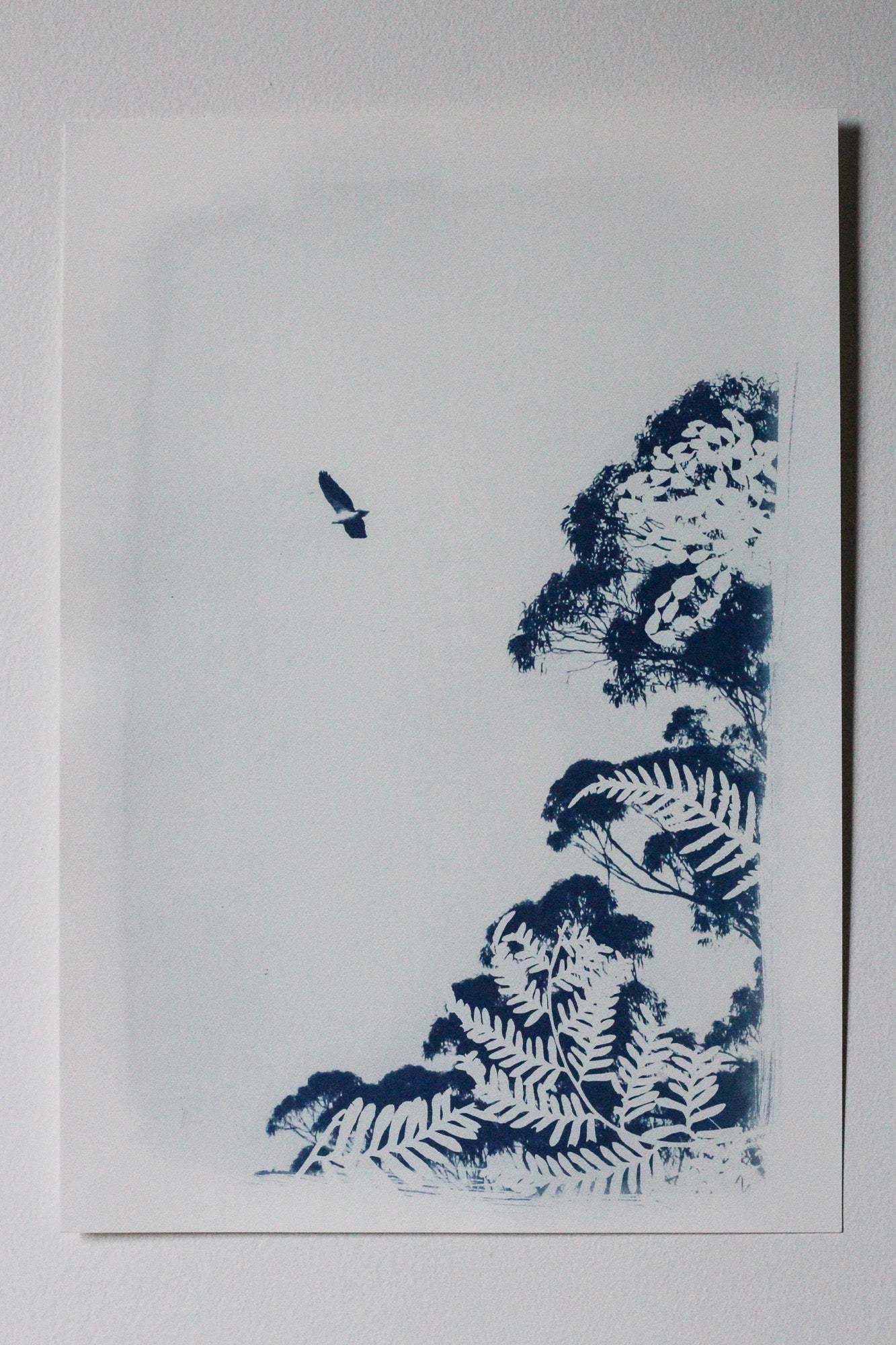 A square art print featuring a blue ink linocut or block print of a sea eagle flying above detailed fern and tree foliage, mounted on a white card against a neutral light gray background.