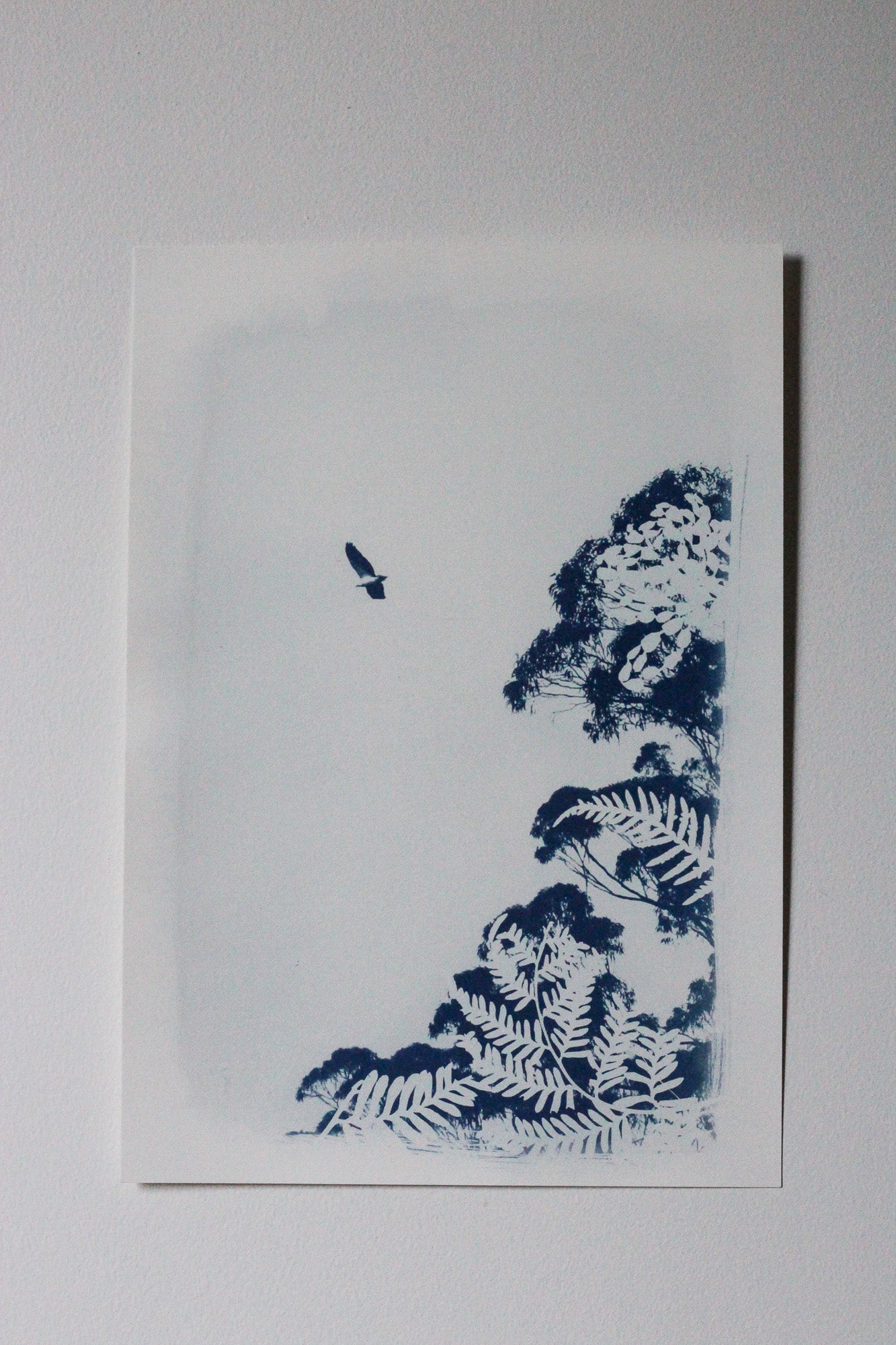A minimalist blue ink print on white paper, featuring a sea eagle in flight above layered foliage, displayed against a neutral light gray background.
