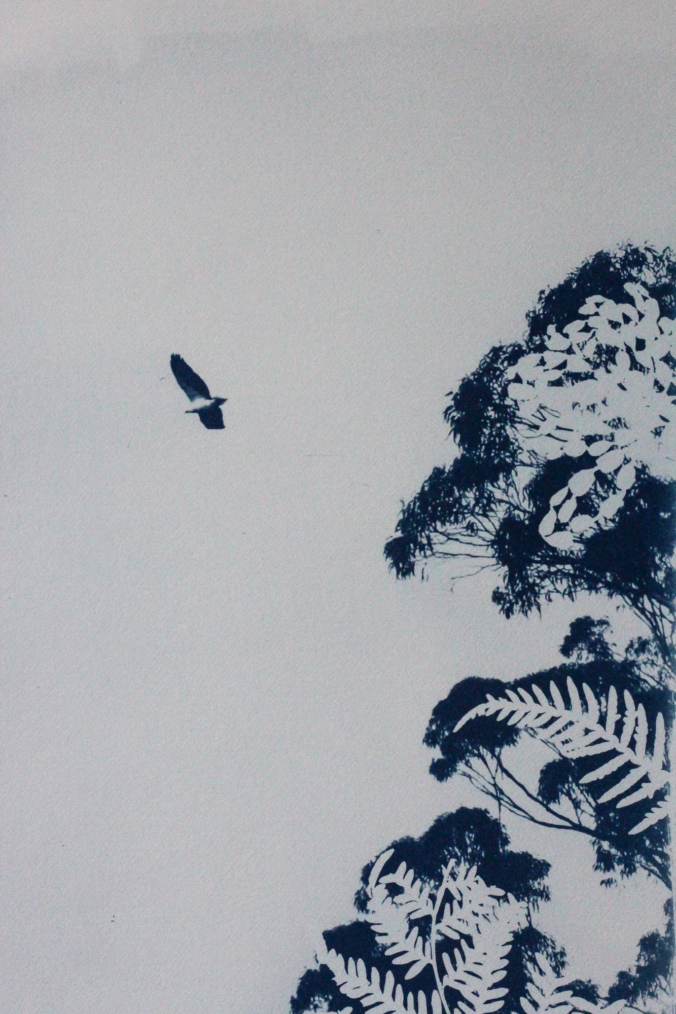 A minimalist art print featuring a dark blue sea eagle in flight against a light gray background, with dark blue silhouettes of trees and fern leaves along the right side.