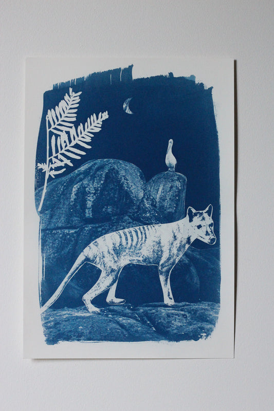 A blue and white art print depicting a Tasmanian tiger walking in a rocky landscape at night, with a fern leaf and a pelican on a rock in the background, shown against a neutral light gray background.