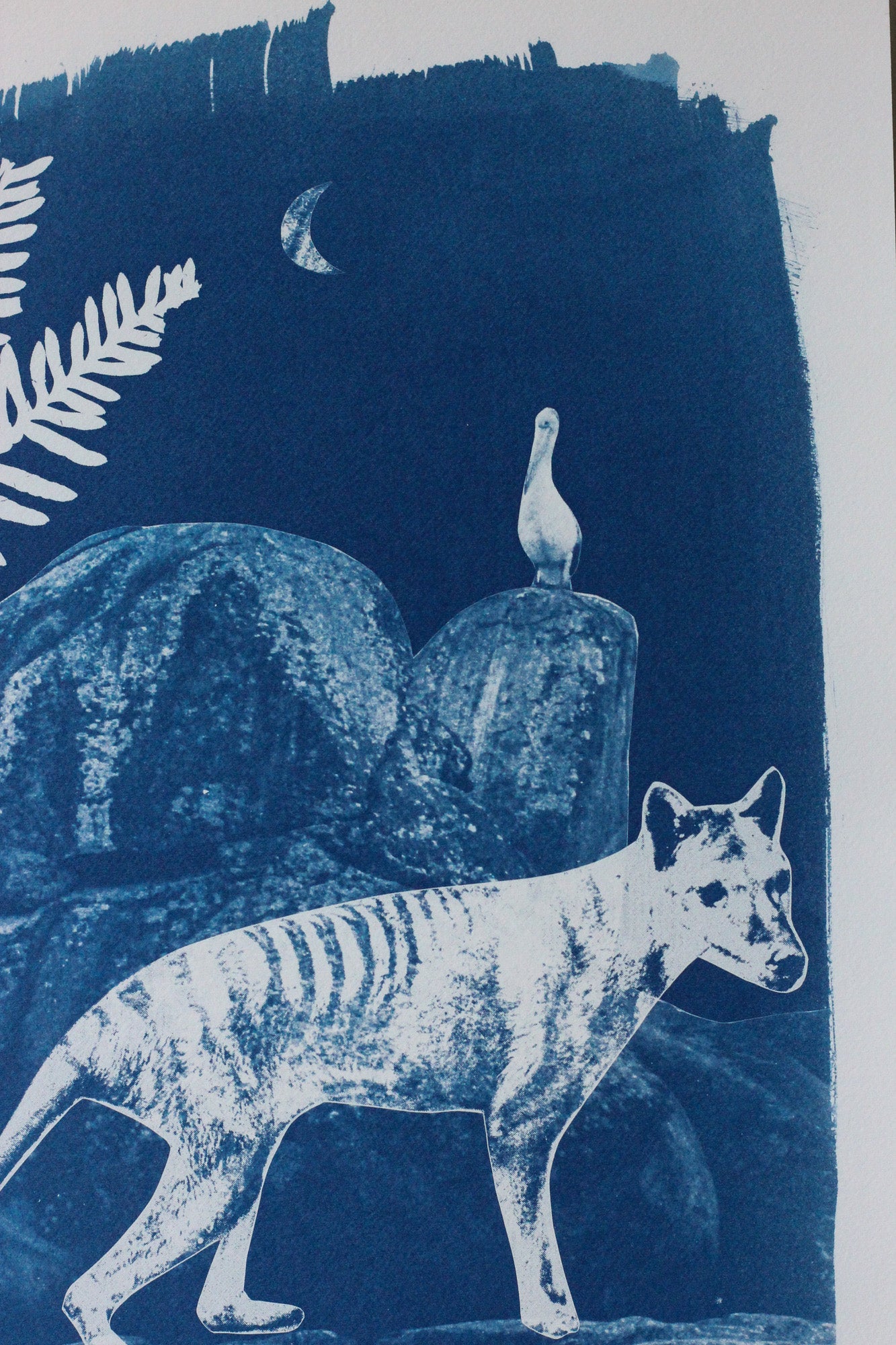 A blue and white art print depicting a white thylacine in the foreground, a white pelican perched on a rock in the background, a fern leaf on the left, and a crescent moon near the top against a dark blue field.