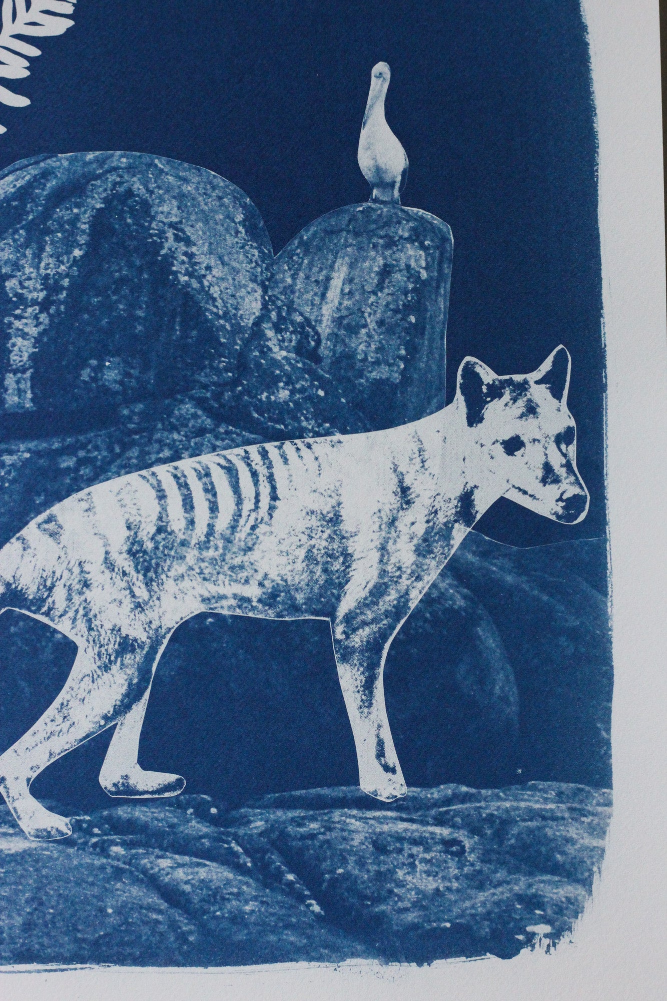A monochrome blue-and-white cyanotype artwork depicting a thylacine in profile standing on rocks, with a small pelican perched on a rock behind it.