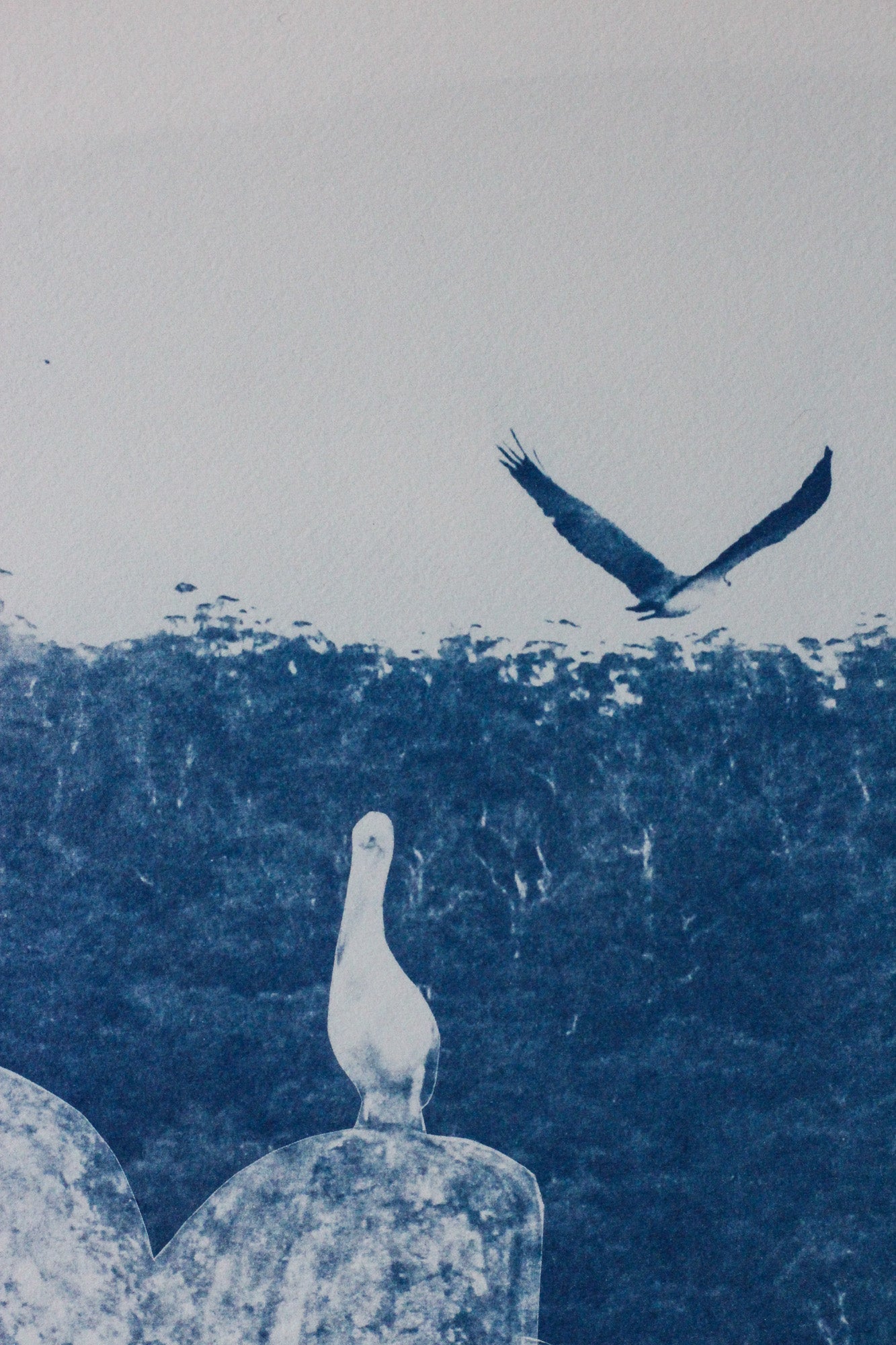A close up of a cyanotype artwork of a pelican and a white bellied sea eagle over Georges Bay, St Helens.