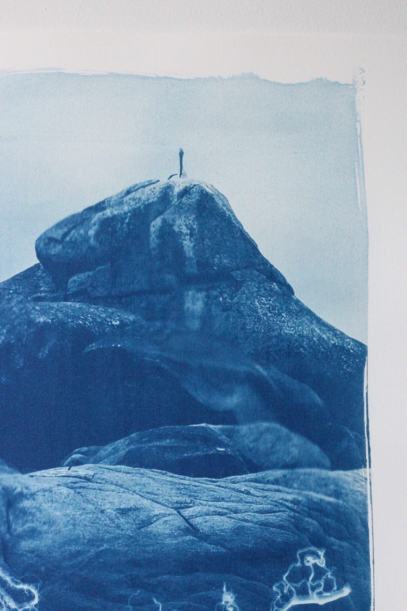 A cyanotype-style art print depicting a pelican sitting atop rocky landscape with blue tones on white paper, photographed against a light neutral background.