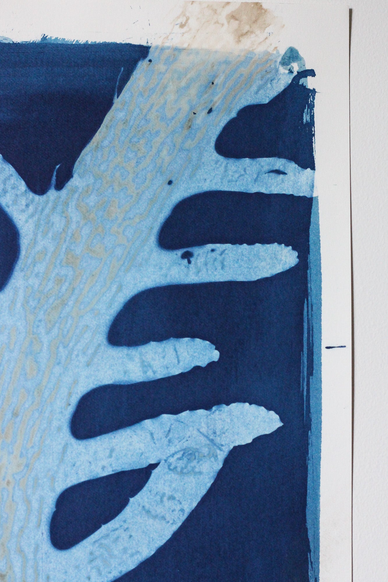An abstract blue and white cyanotype artwork with organic, seaweed shapes, photographed close up against a white paper background.