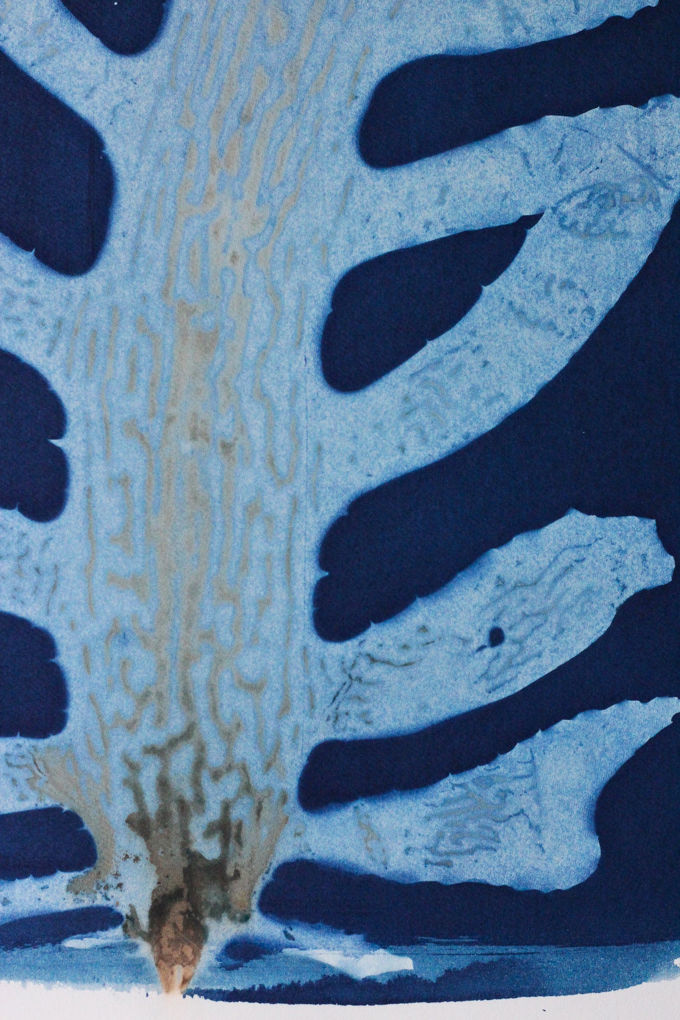 An abstract art print or textile pattern featuring organic, leaf-like or coral-like shapes in deep navy blue and light blue, with textured beige and brown veining or striations running through the lighter areas.