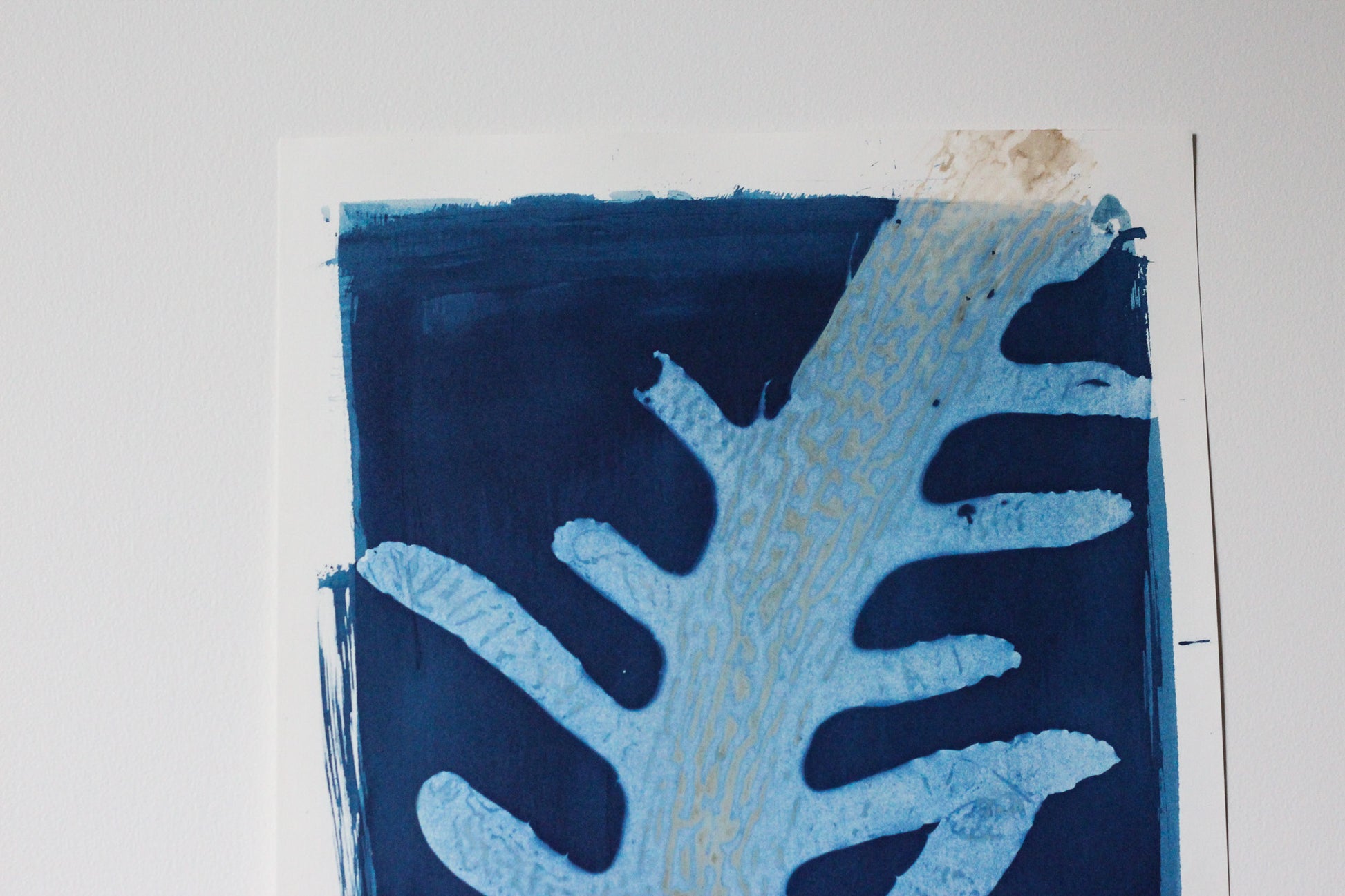 An abstract cyanotype art print featuring a seaweed organic pattern in light blue and dark navy blue on a white sheet of paper, photographed against a plain white wall.