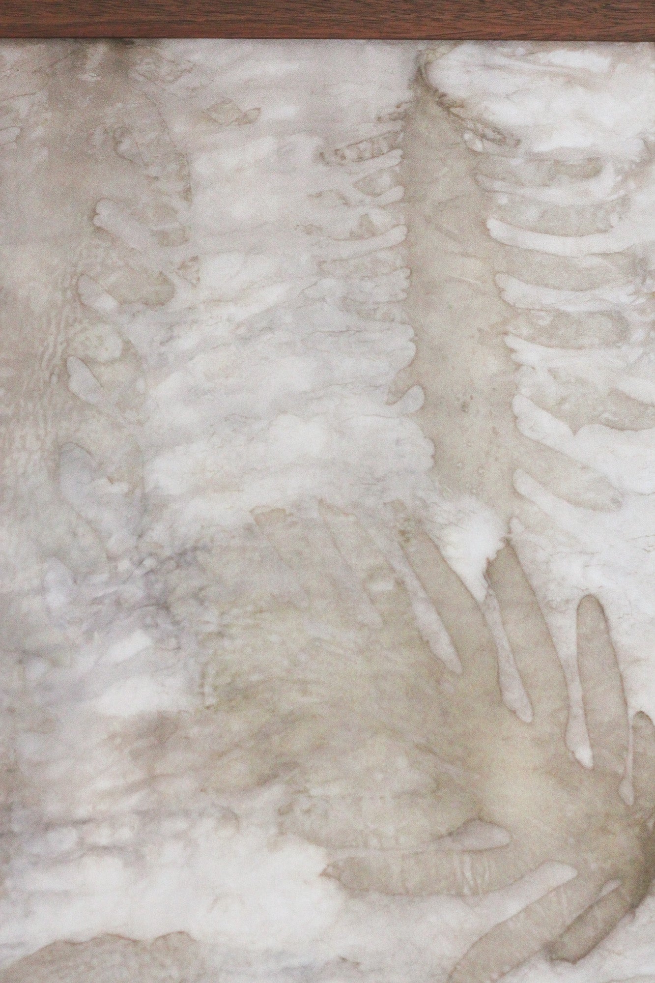 A close-up of a textured surface with abstract organic patterns in off-white, beige, and light gray, with a dark brown strip visible along the top edge.
