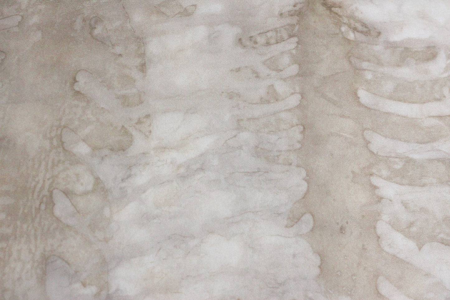 Echoes II