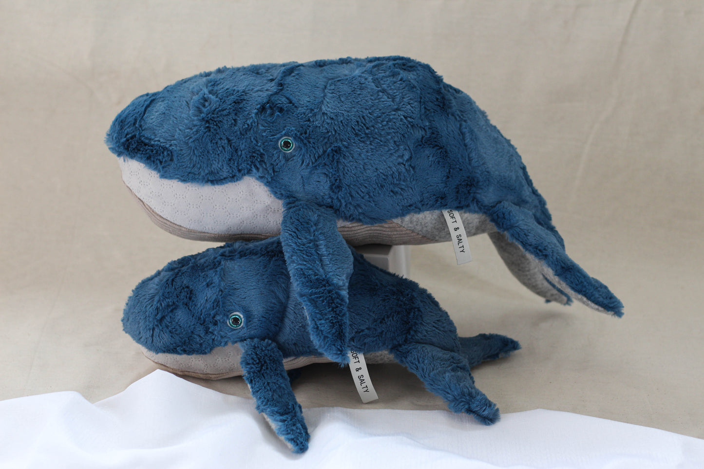 Fluffback Whale