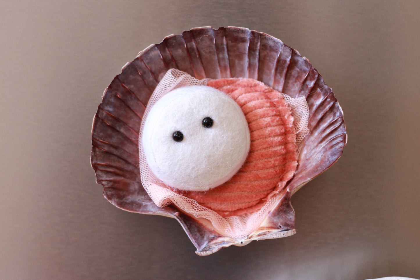 Scallop Fridge Magnet