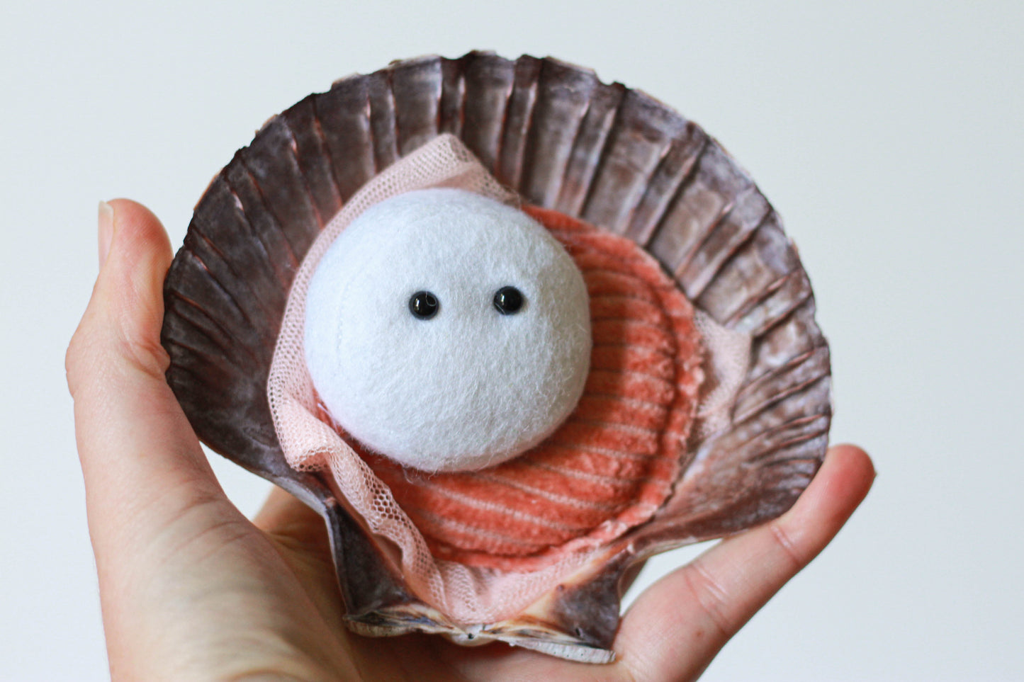 Scallop Fridge Magnet