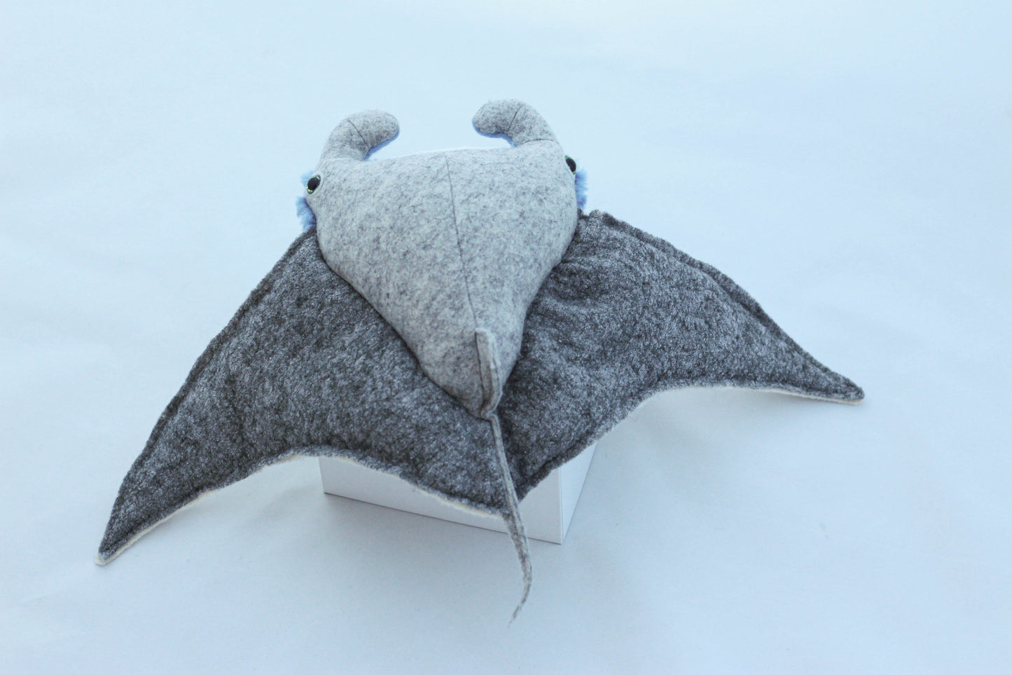 Mini Manta Ray