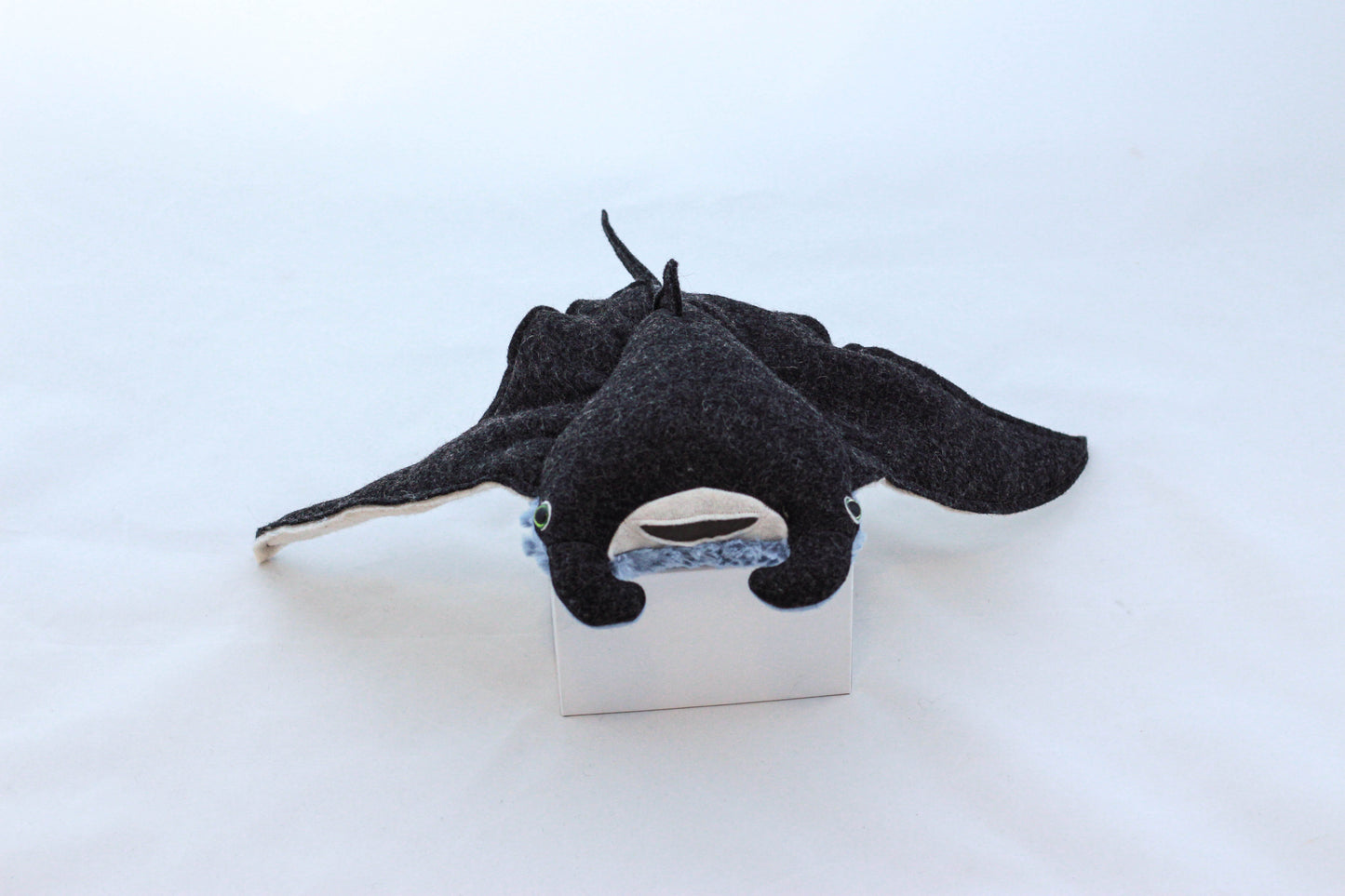 Mini Manta Ray