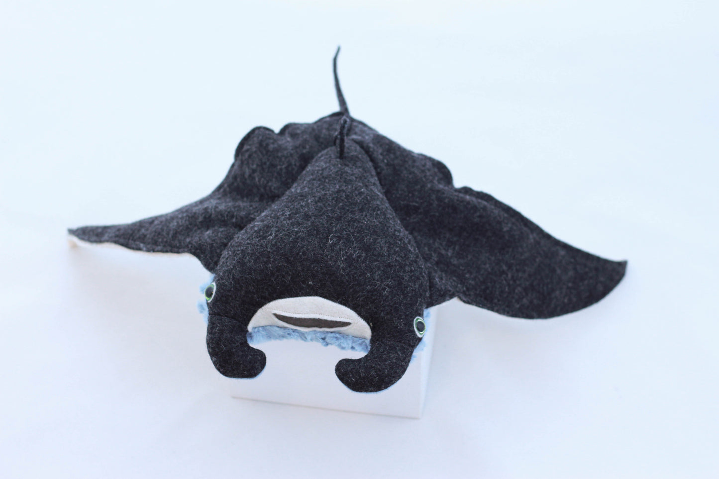 Mini Manta Ray