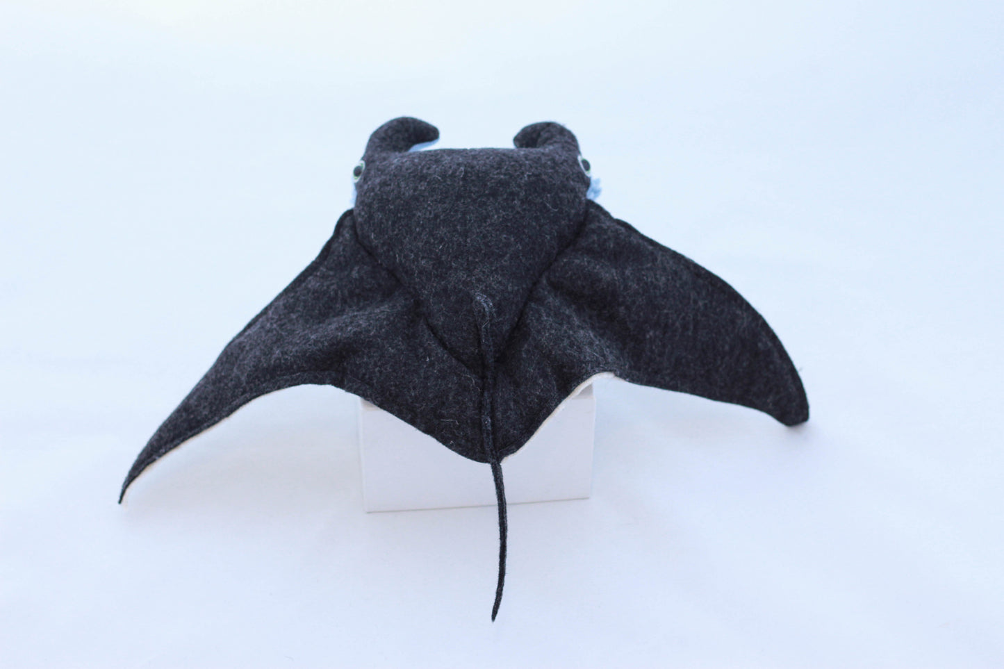 Mini Manta Ray