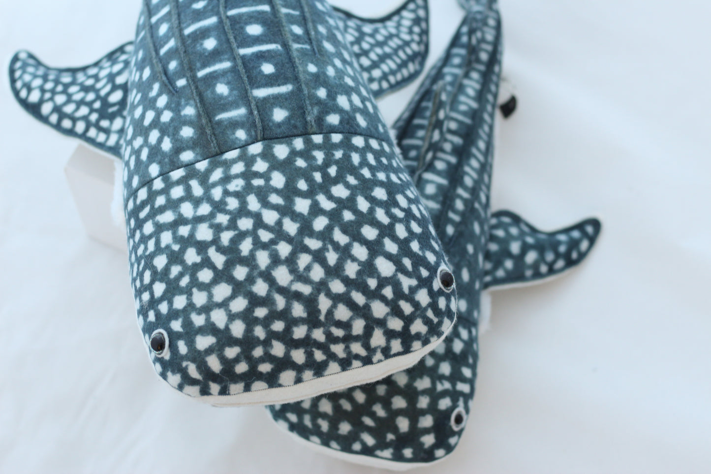Winifred the Whale Shark