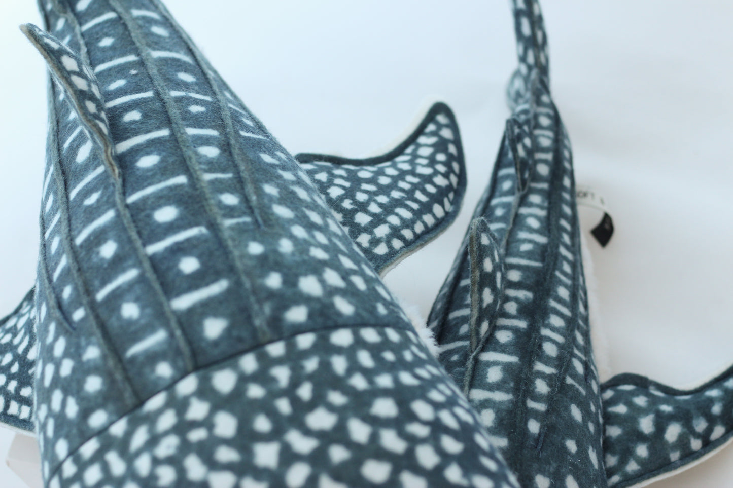 Winifred the Whale Shark