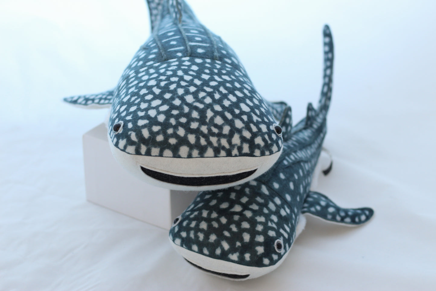 Winifred the Whale Shark
