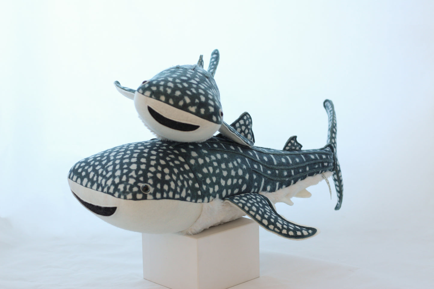 Winifred the Whale Shark