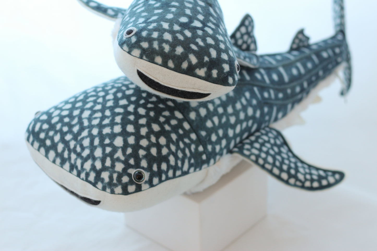 Winifred the Whale Shark