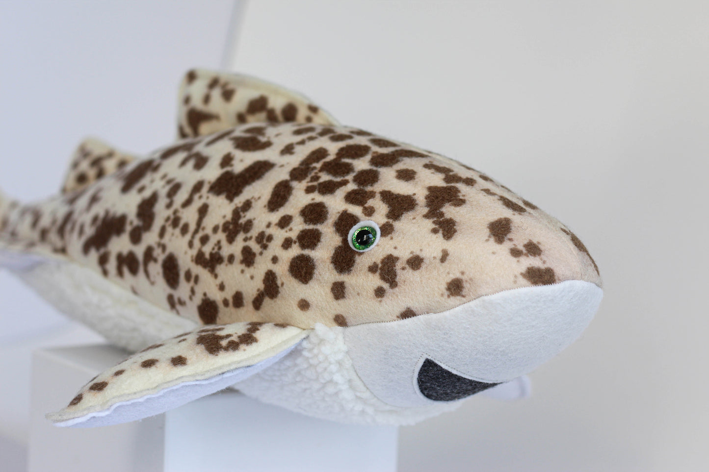 Zephyr the Zebra Shark