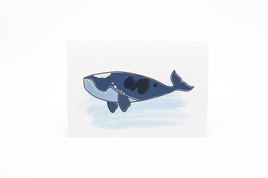 Southern Right Whale Greeting Cards