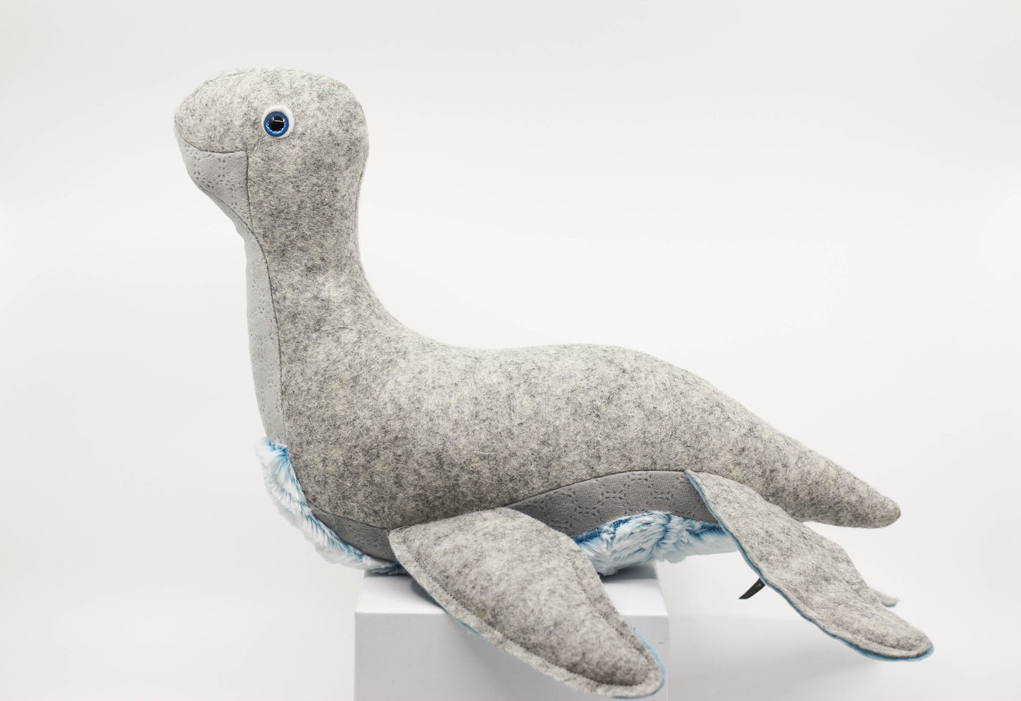 Plesiosaurus Pup