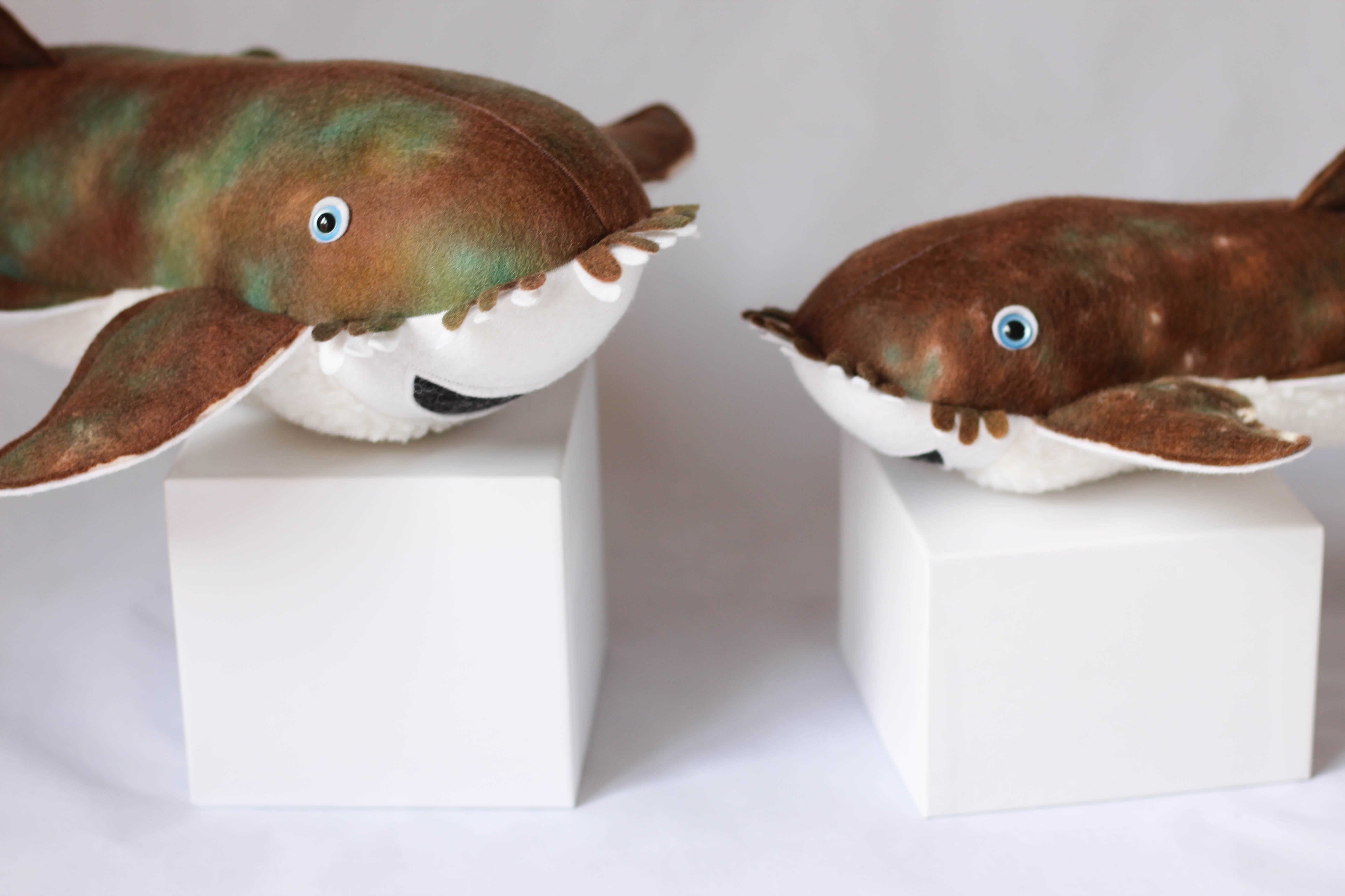 Wobbegong toy best sale