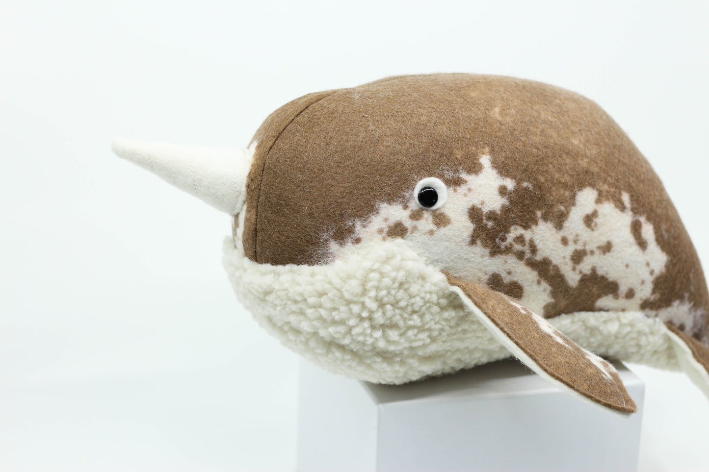 Narwhal Calf