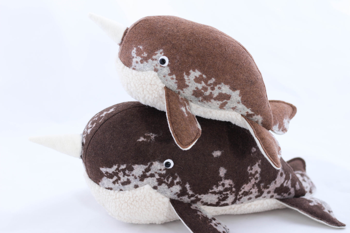 Narwhal Calf