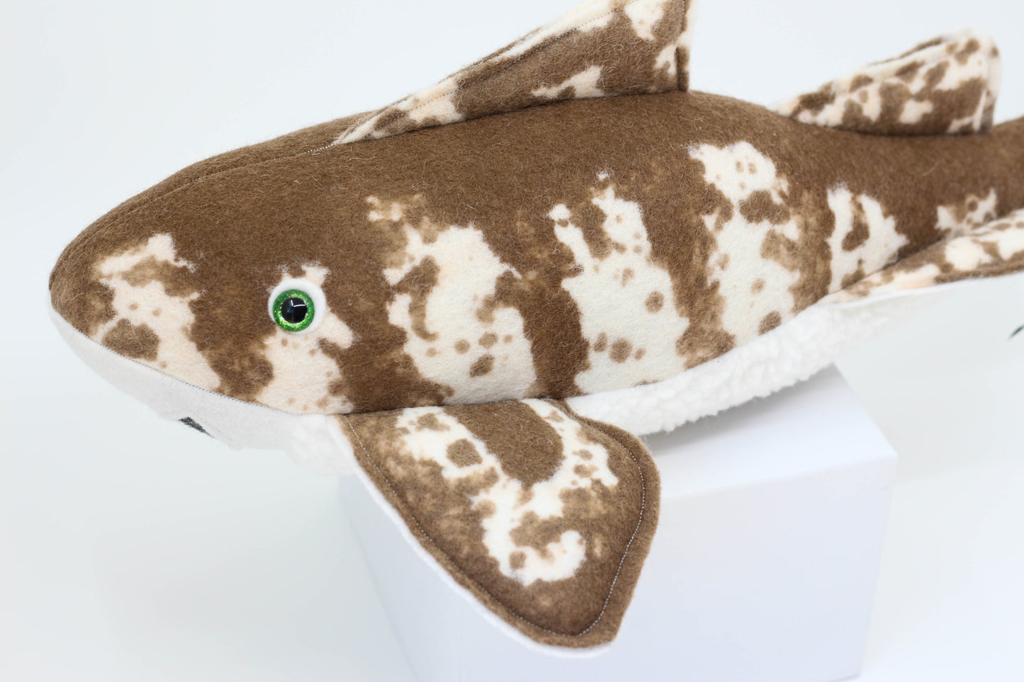 Zebra Shark Pup