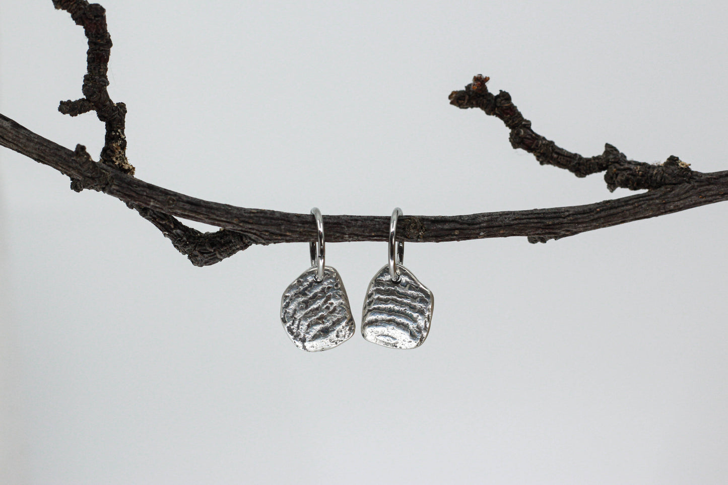 Disco Mollusc Earrings