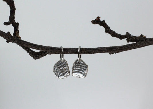 Disco Mollusc Earrings