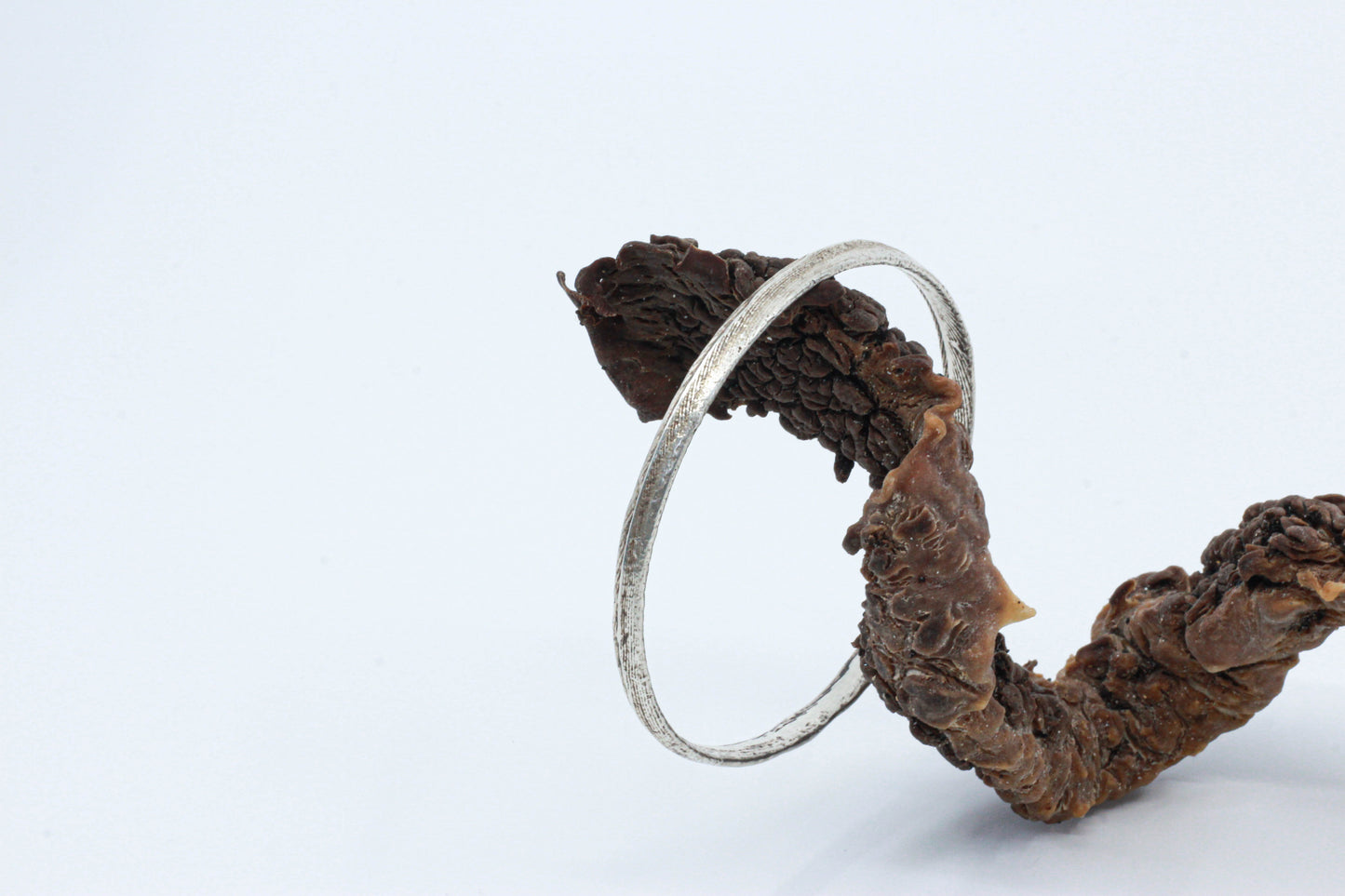 Cuttle-Cast Bangle